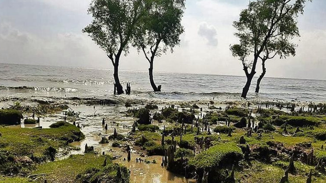 সমুদ্রে নিখোঁজের ১৬ ঘণ্টা পর পর্যটকের লাশ উদ্ধার