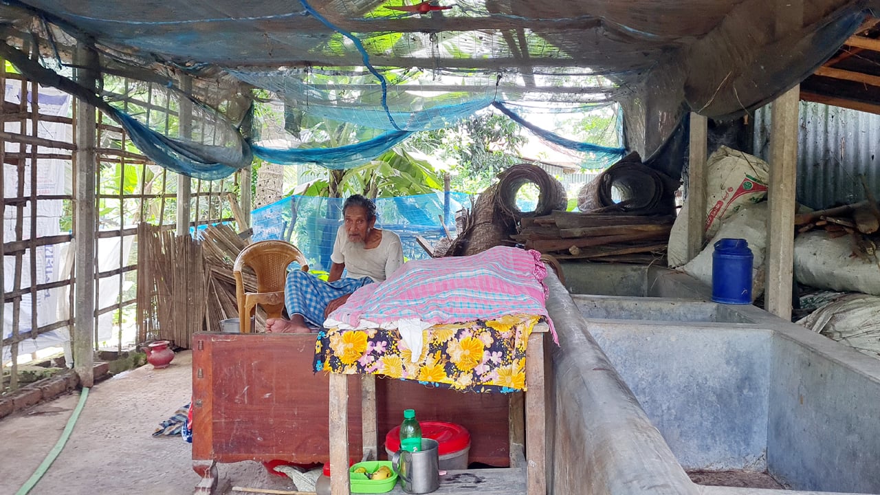 দুই ছেলে সচ্ছল, তবুও মা-বাবার ঠাঁই গোয়ালঘরে