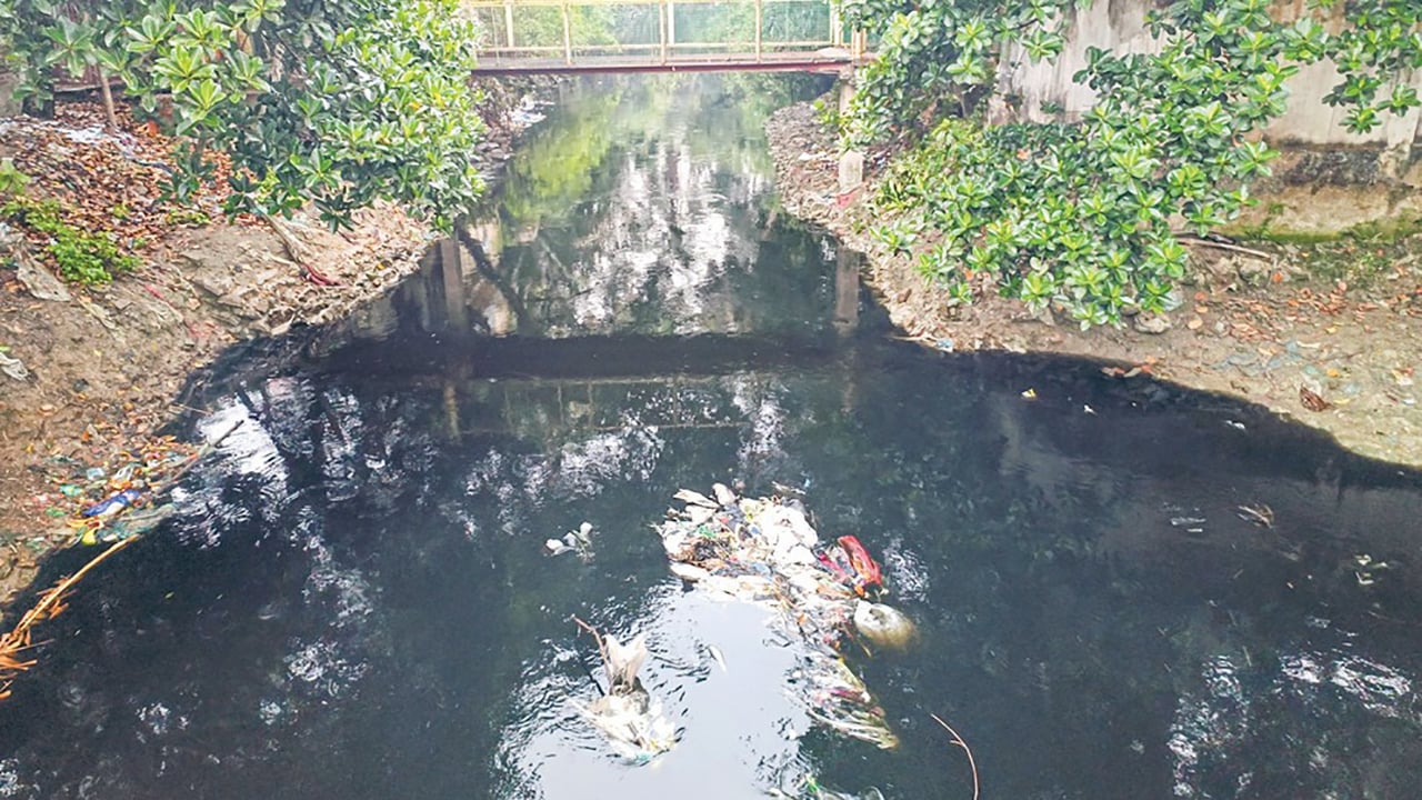 শিল্পকারখানার বিষাক্ত বর্জ্যে দূষিত হচ্ছে হালদার পানি