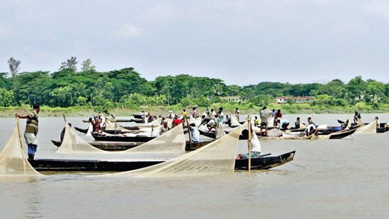 মৎস্য ও জীববৈচিত্র্য রক্ষায় হালদা অববাহিকায় তামাক চাষ বন্ধ