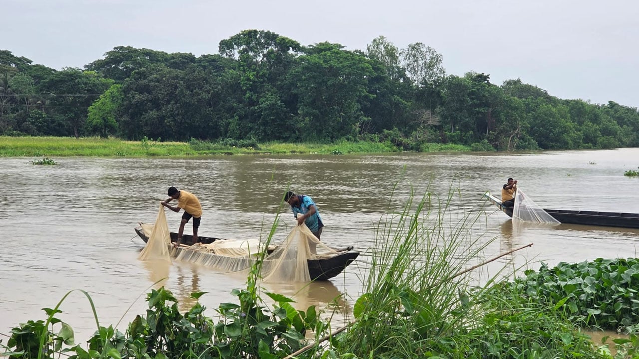 হালদায় ডিম ছেড়েছে কার্প-রুই, অপেক্ষায় শত শত সংগ্রহকারী