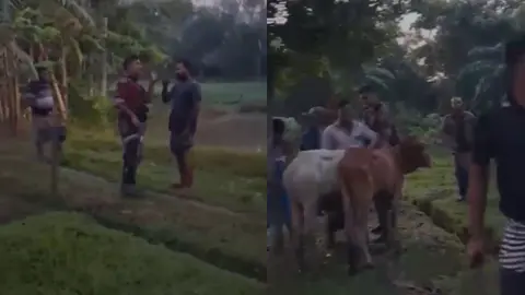 ভারতীয় গরু ছিনিয়ে নিতে বিজিবি সদস্যের ওপর হামলা, গুলিতে ইজারাদারের মৃত্যু 