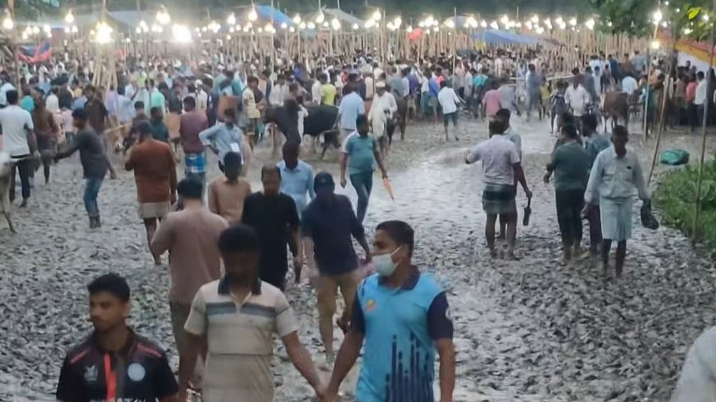 টানা বৃষ্টিতেও সীতাকুণ্ডে জমজমাট পশুর হাট, মহাসড়কে নেই যানজট