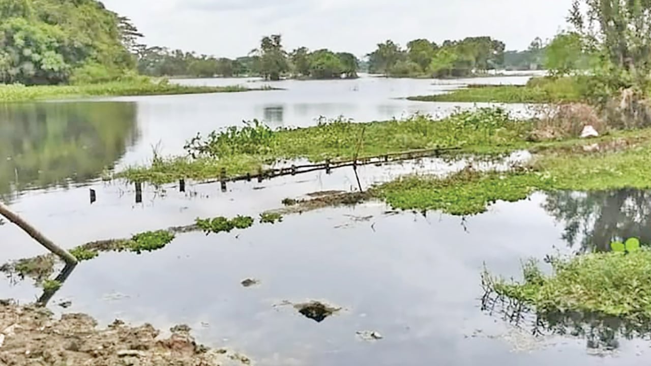 শিল্প-কারখানার বিষাক্ত বর্জ্যে দূষিত হচ্ছে হালদার পানি