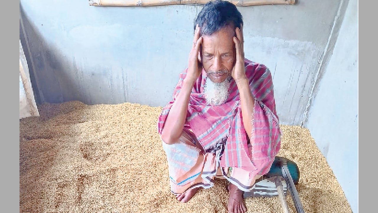 লাখাইয়ে টানা বর্ষণে নষ্ট হচ্ছে কৃষকের কষ্টের ধান