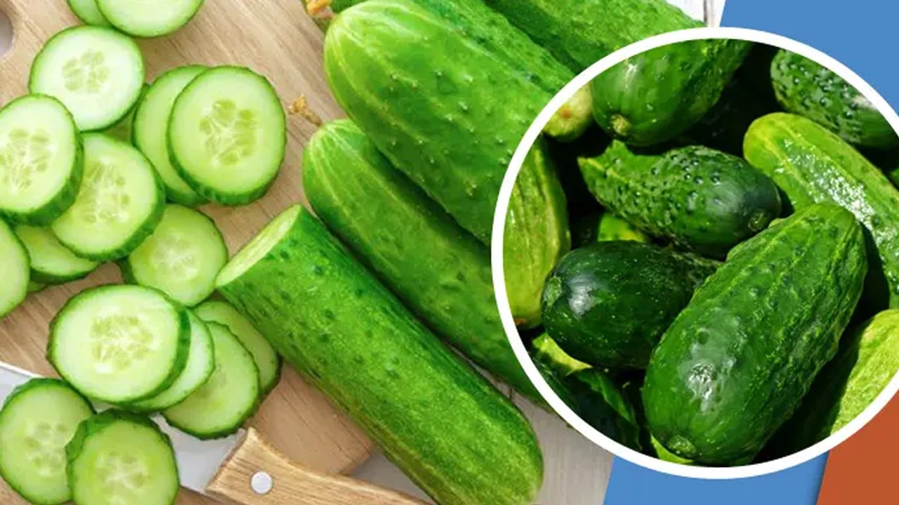 শসা খোসাসহ নাকি ছাড়িয়ে খাবেন? পুষ্টিবিদের ব্যাখ্যা