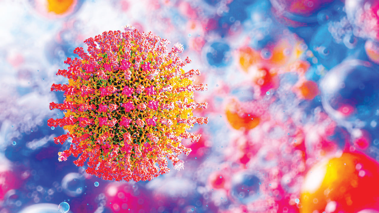 হামের ভাইরাস কেন দ্রুত ছড়াচ্ছে