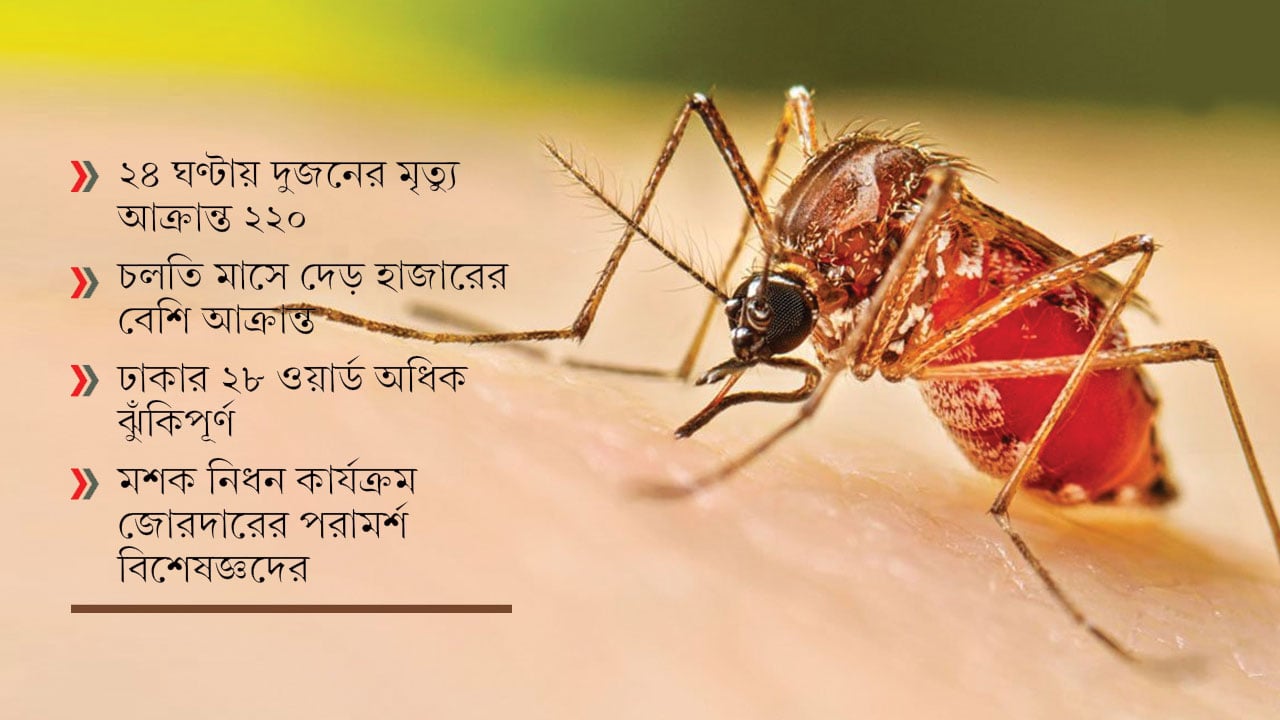 হামের মধ্যেই চোখ রাঙাচ্ছে ডেঙ্গু, ছড়িয়েছে ৫৮ জেলায়
