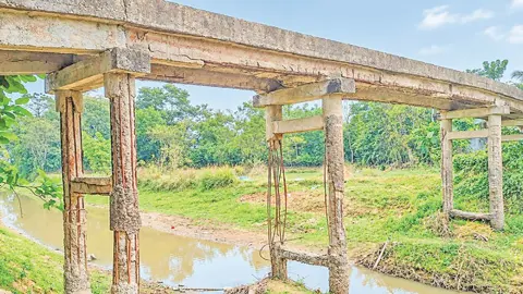 মাধবপুরে ঝুঁকিপূর্ণ সেতু, শঙ্কায় শিক্ষার্থীসহ পথচারীরা