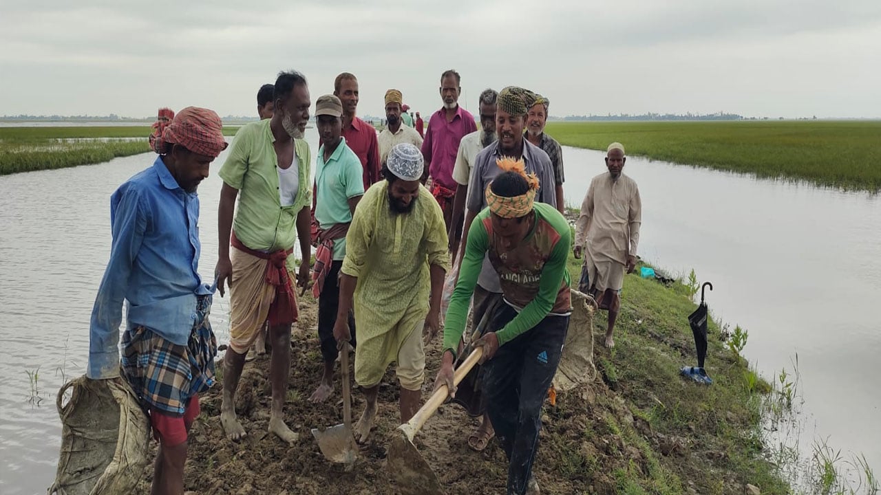 কৃষকদের স্বেচ্ছাশ্রমে হাওরে বাঁধ মেরামত