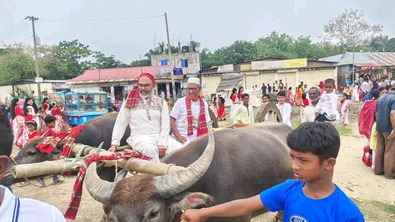 মহিষের গাড়িতে বর্ণাঢ্য বৈশাখ