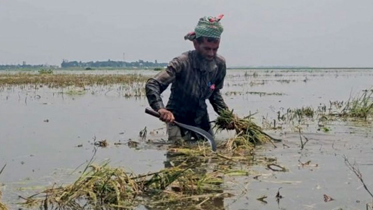 হাওরের কৃষকদের দুর্ভোগ ও করণীয়