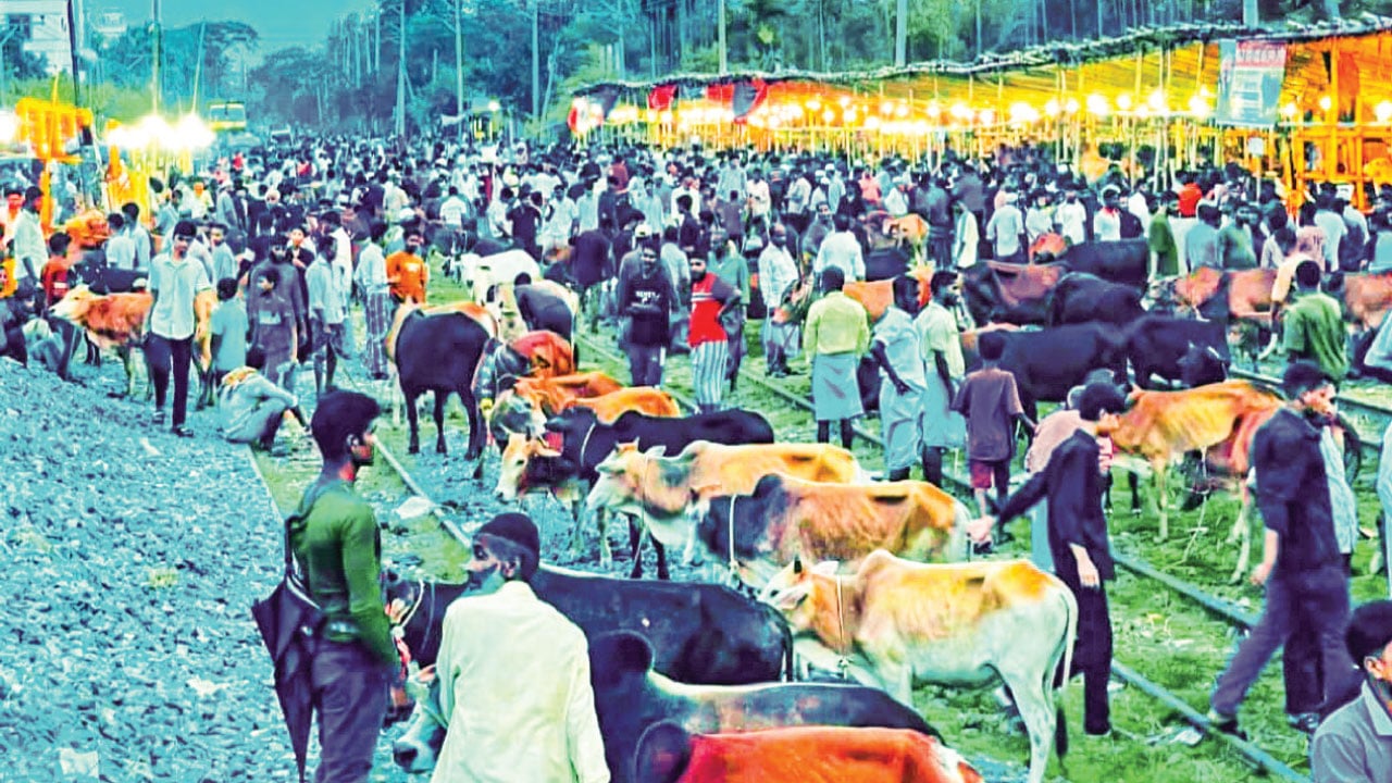হাটহাজারীতে রেললাইনের ওপর কোরবানির পশুর হাট