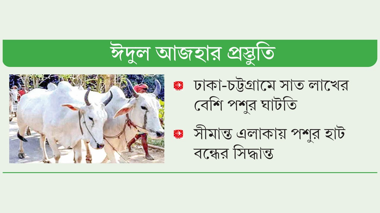 ভারতীয় পশুর প্রবেশ ঠেকাতে সীমান্তে কড়াকড়ি