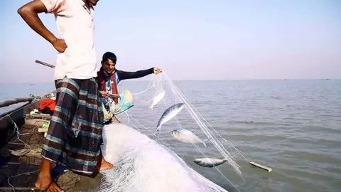 মধ্যরাত থেকে জাটকা আহরণে ৮ মাসের নিষেধাজ্ঞা শুরু