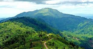 জলবায়ু পরিবর্তন প্রকল্পে দুর্নীতি