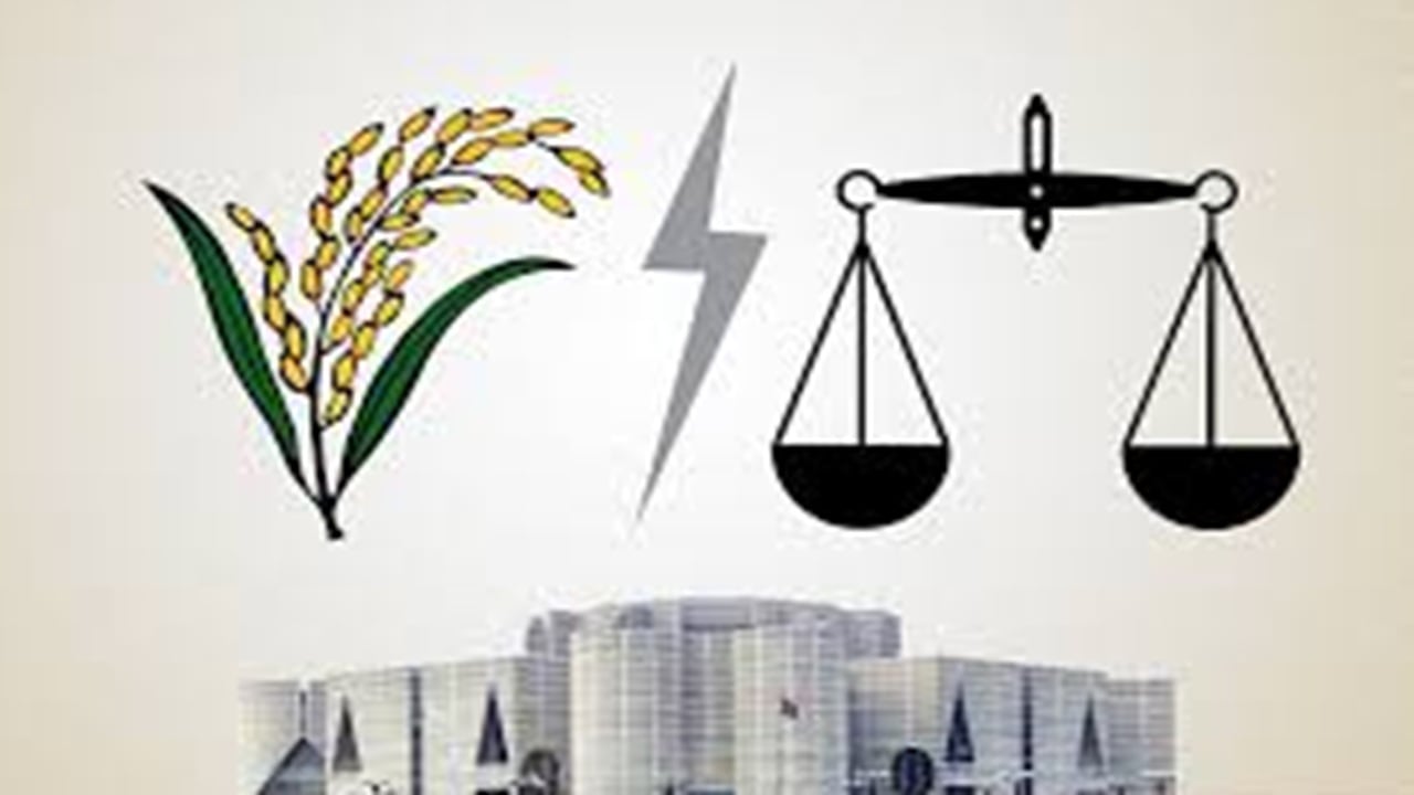 গাজীপুর-১ আসনে ধানের শীষ এগিয়ে