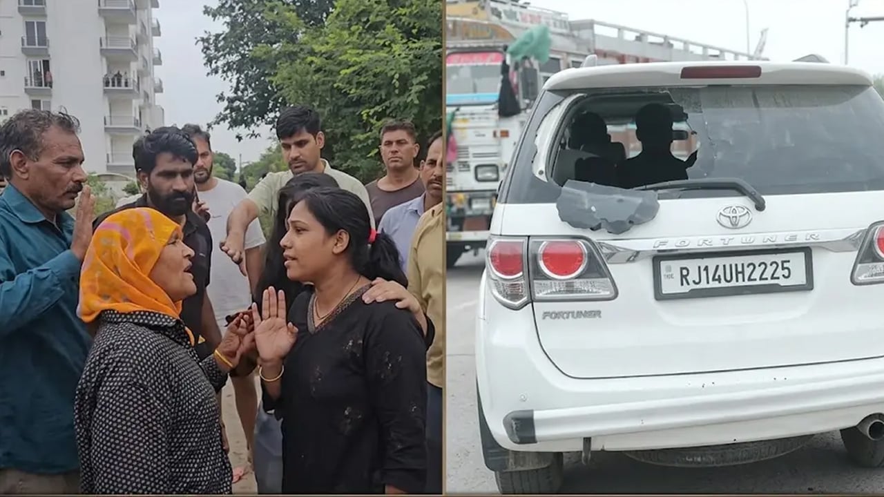 ভারতে ককরোচ পার্টির ওপর বিজেপির হামলা