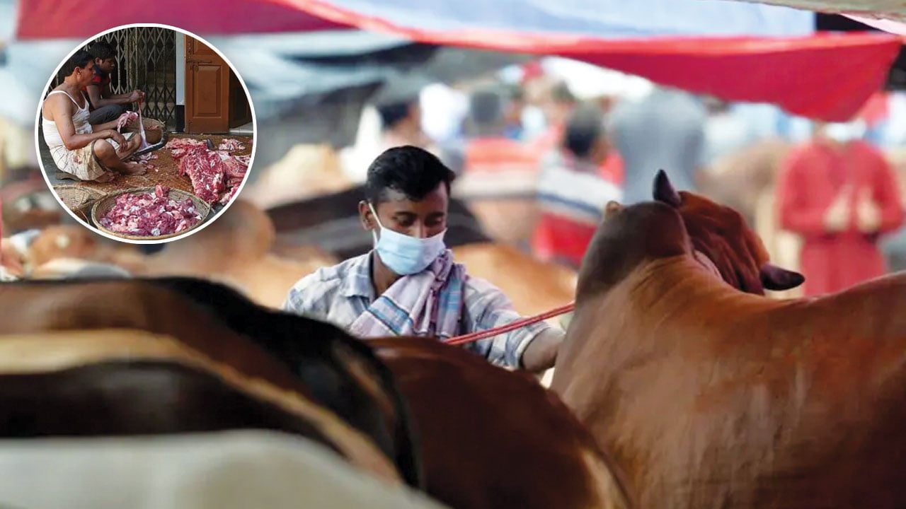 কোরবানির মাংস তিন ভাগ করা কতটা জরুরি