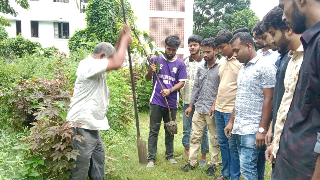 ইবিতে শহীদদের স্মরণে ছাত্রদলের বৃক্ষরোপণ