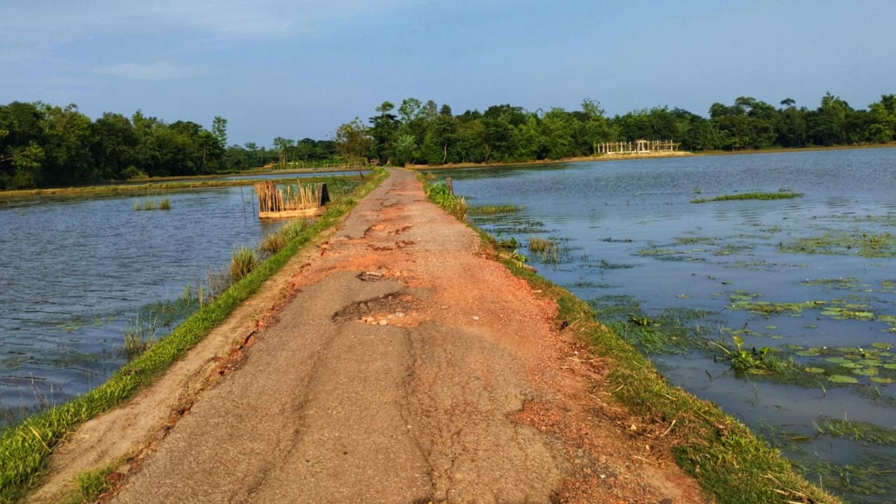 কার্পেটিং উঠে সড়কে যান চলাচলে ঝুঁকি