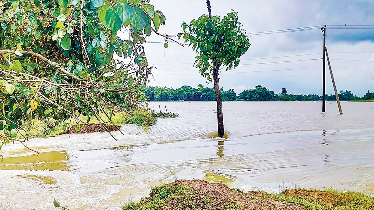 জামালগঞ্জে বেড়িবাঁধ ভেঙে ঢুকছে পানি, ঝুঁকিতে শতাধিক বসতভিটা