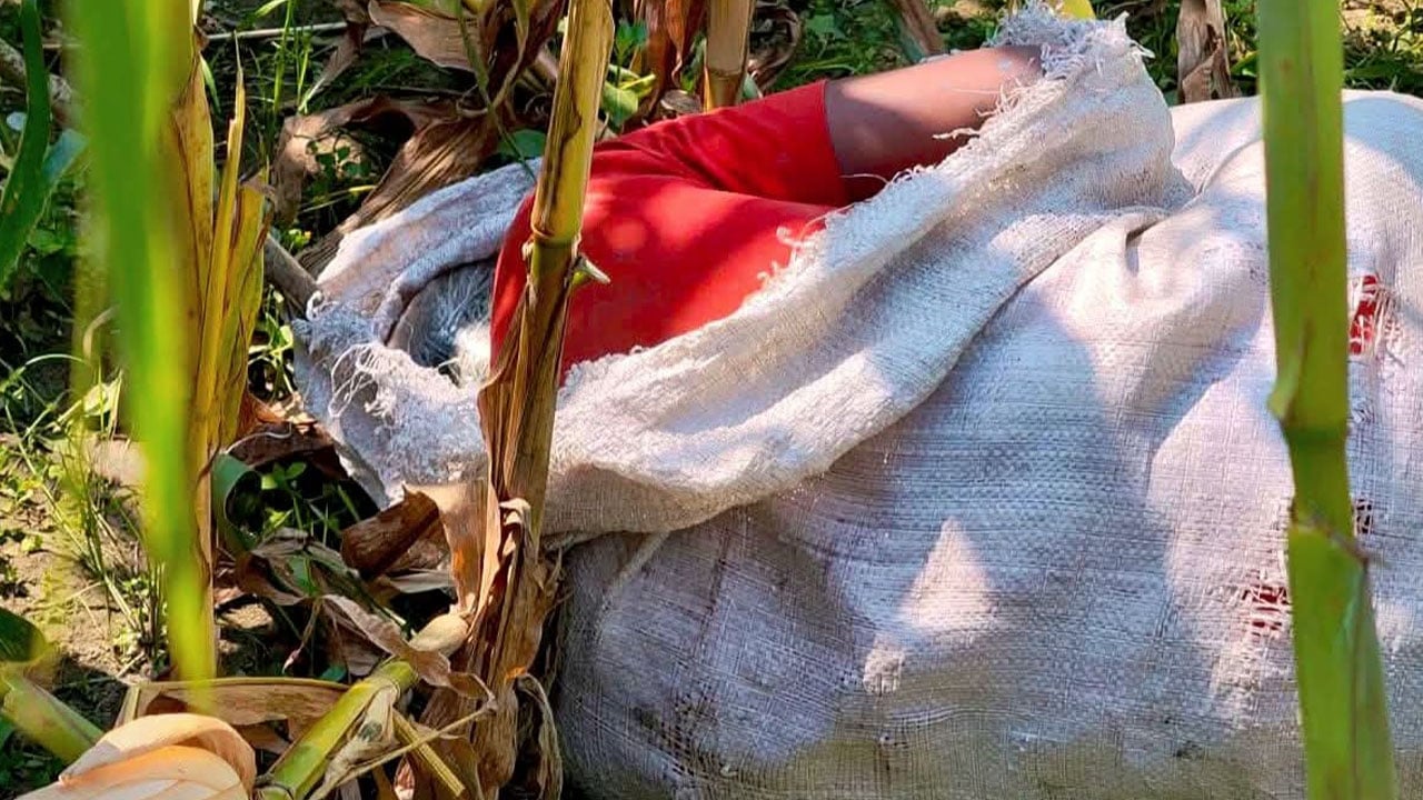 ভুট্টাক্ষেতে অটোরিকশা চালকের বস্তাবন্দি লাশ উদ্ধার
