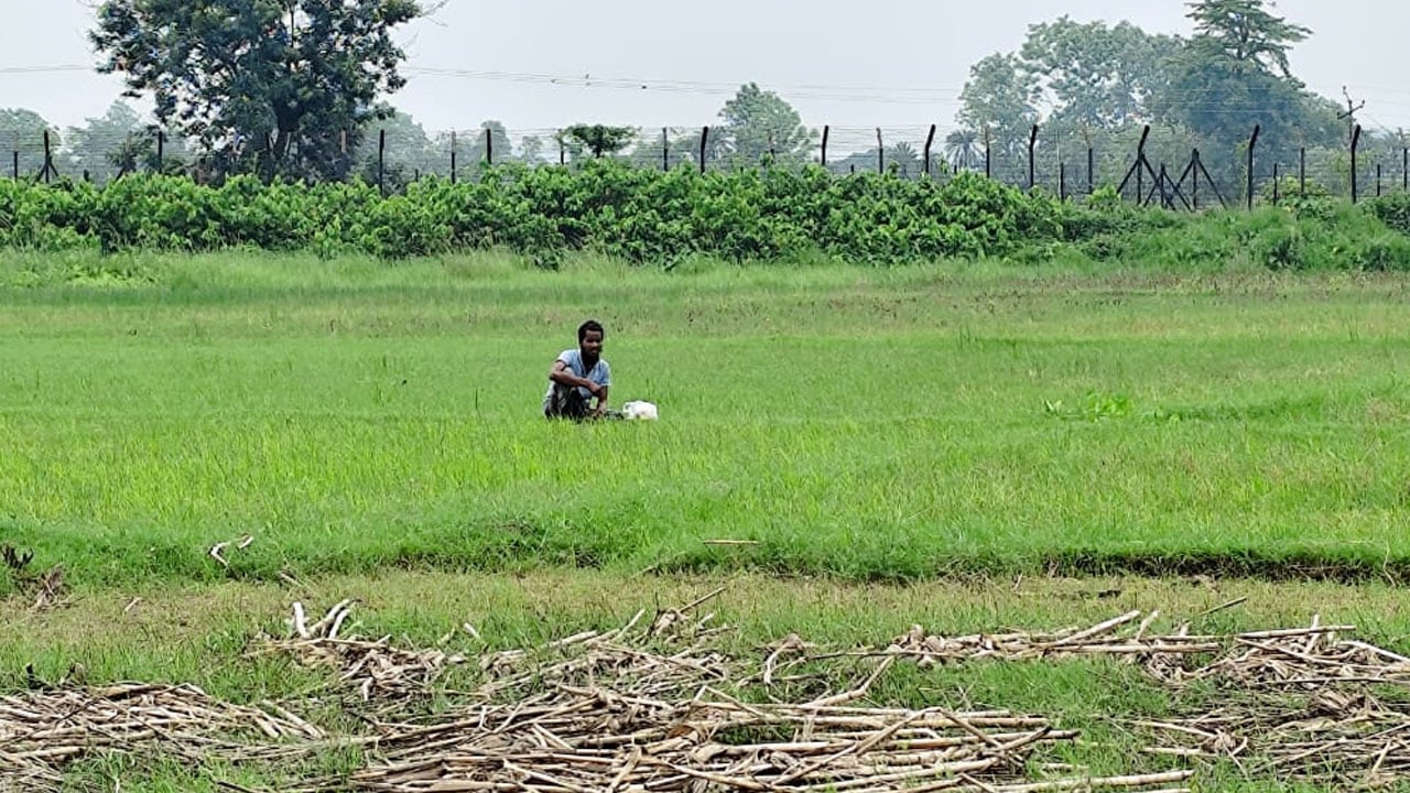 দেওয়ানগঞ্জ সীমান্তে আরো এক যুবককে পুশইনের চেষ্টা, রুখে দিলো বিজিবি