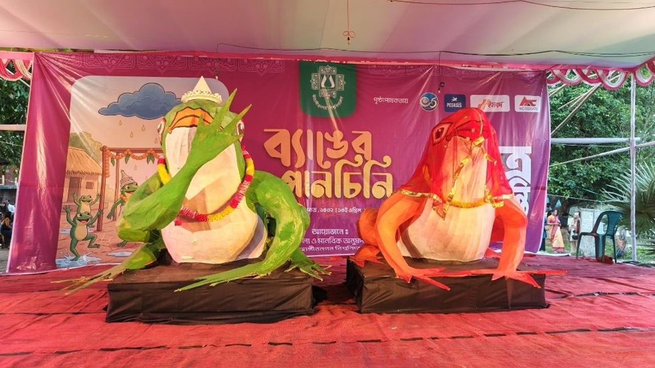 ব্যাঙকে বর সাজিয়ে বিয়ের আয়োজন