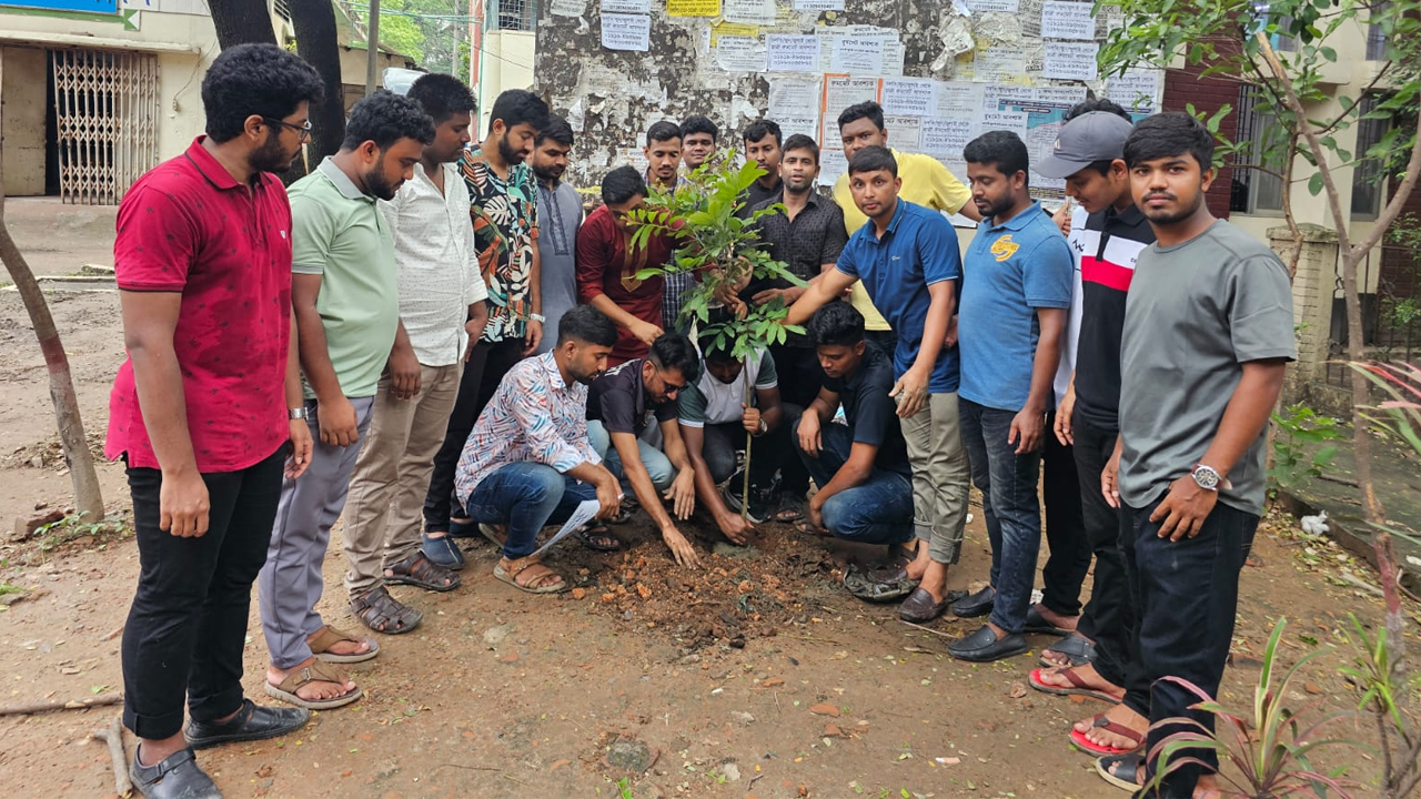 জবি ছাত্রদলের বৃক্ষরোপণ কর্মসূচি