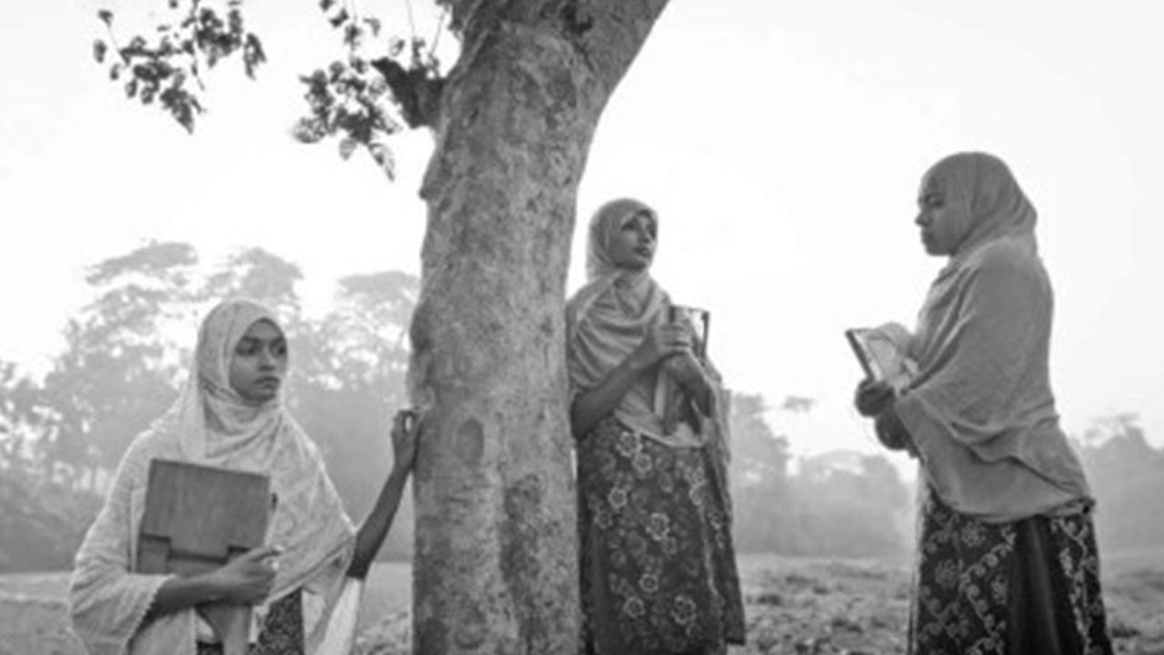 আন্তর্জাতিক অঙ্গনে ‘সাঁকোটা দুলছে’র অর্জন