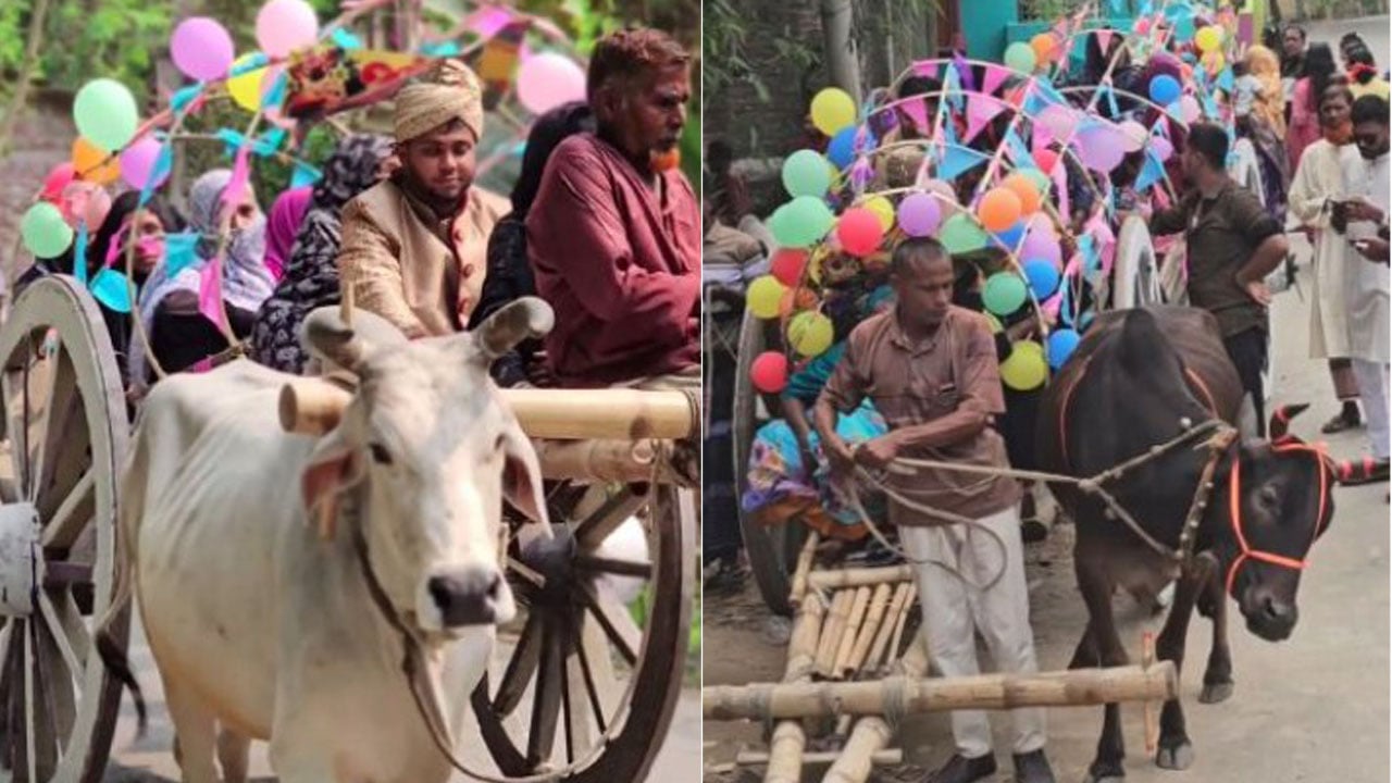 গরুর গাড়িতে বিয়ে