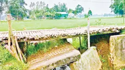 ঝিনাইগাতীতে কালভার্ট ভেঙে যাওয়ায় বাড়ছে জনদুর্ভোগ