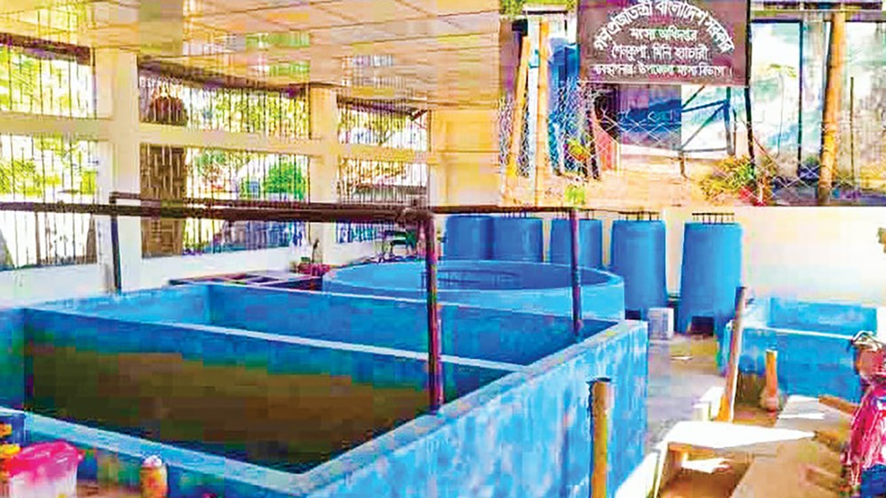 জনবল সংকটে ১০ বছর ধরে বন্ধ শৈলকুপা মৎস্য হ্যাচারি