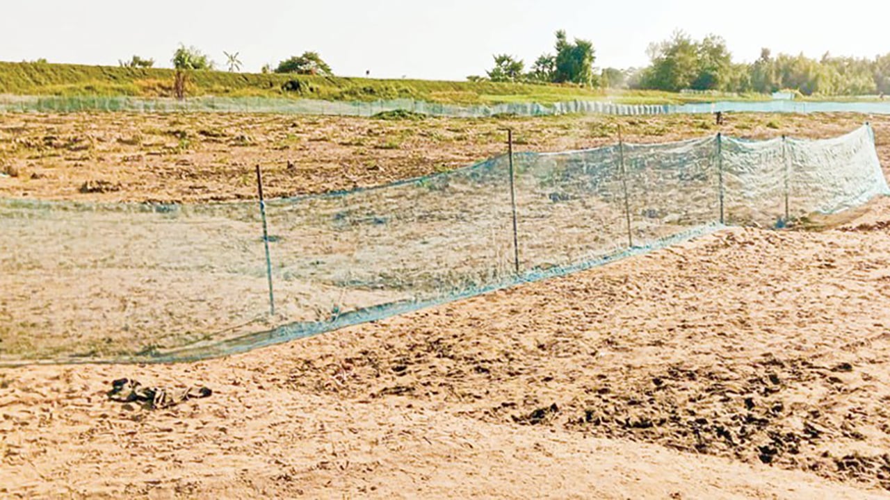 সুরমা-কুশিয়ারার মরণ দশা, হুমকিতে জকিগঞ্জের পরিবেশ ও জীববৈচিত্র্য