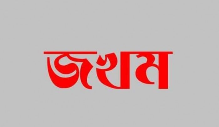 আওয়ামী লীগের হামলায় বিএনপি কর্মী জখম