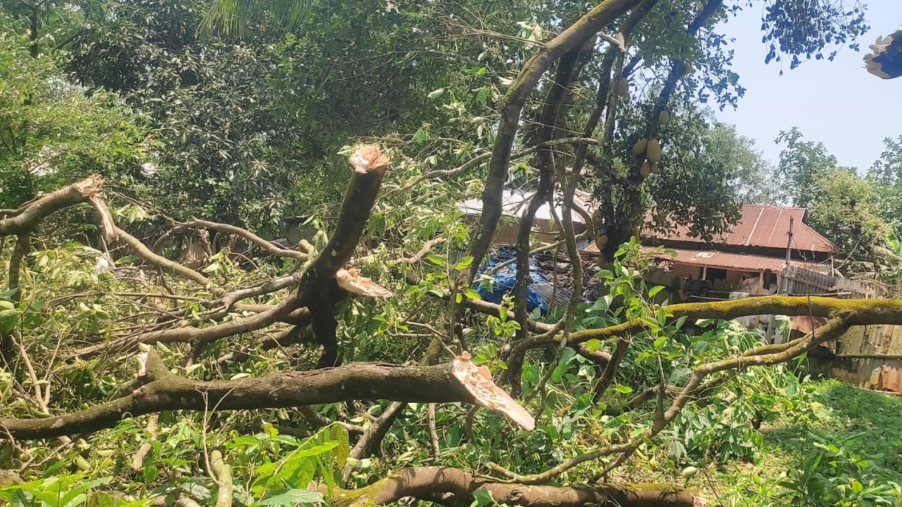 কালবৈশাখীর তাণ্ডবে লন্ডভন্ড শ্রীপুরের ৩ গ্রাম