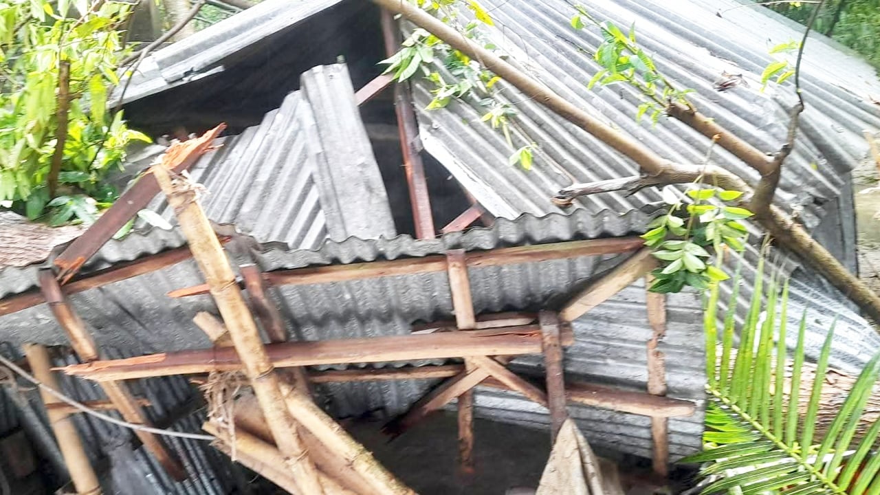 ‎বগুড়ায় ঝড়ের সময় আম কুড়াতে গিয়ে নারীর মৃত্যু