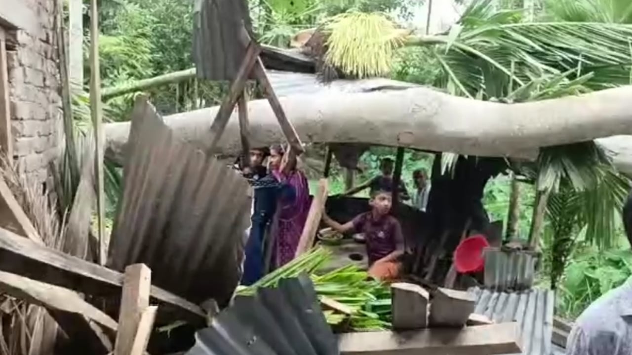 পিরোজপুরে ঝড়ে ঘরের ওপর গাছ পড়ে গৃহবধূর মৃত্যু