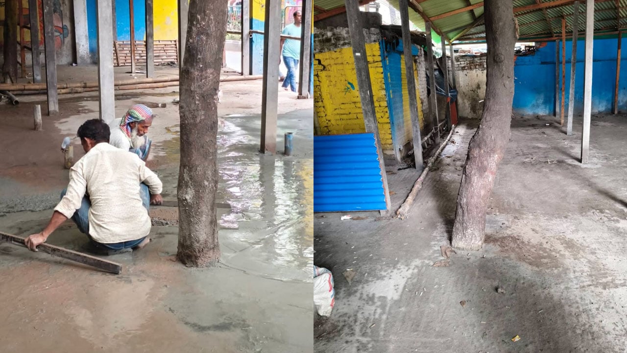 টিএসসি আধুনিকায়নে গাছের গোড়ায় কংক্রিট, উদ্বেগ জবি শিক্ষার্থীদের