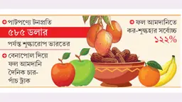 পাটে শুল্কের খড়্গ বসিয়ে ঢাকার কাছে ফলে ছাড় চায় ভারত