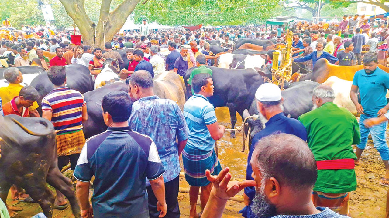 সারা দেশে চলছে কোরবানির পশুর শেষ মুহূর্তের বেচাকেনা