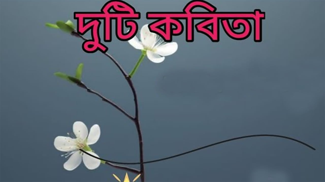 কামাল হুসাইনের দুটি কবিতা