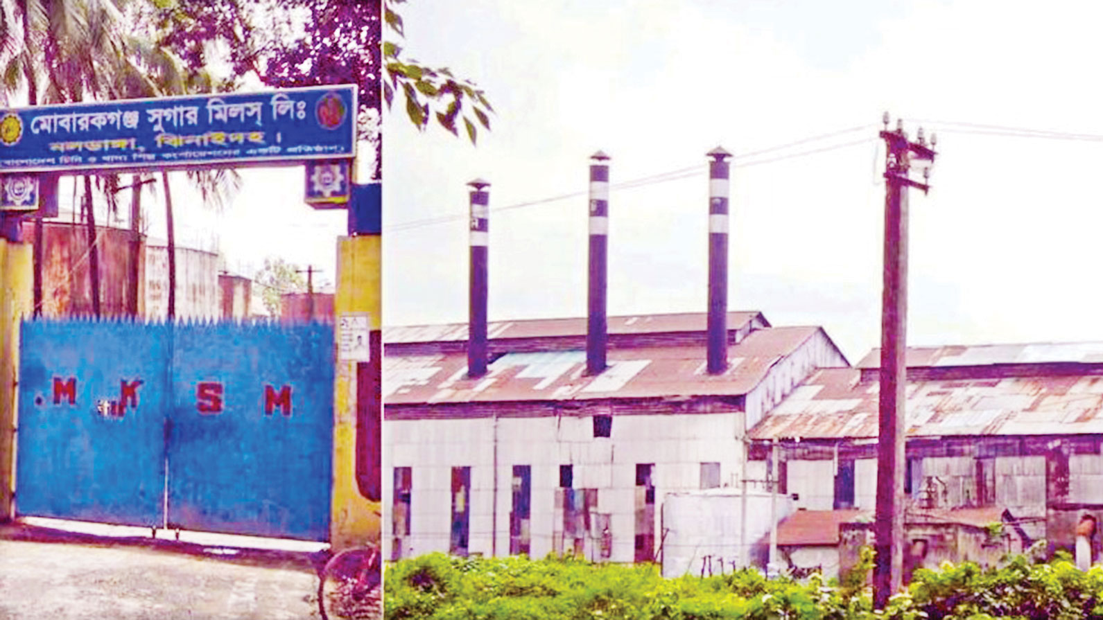 লোকসানের বোঝা নিয়ে খুঁড়িয়ে চলছে মোবারকগঞ্জ চিনিকল