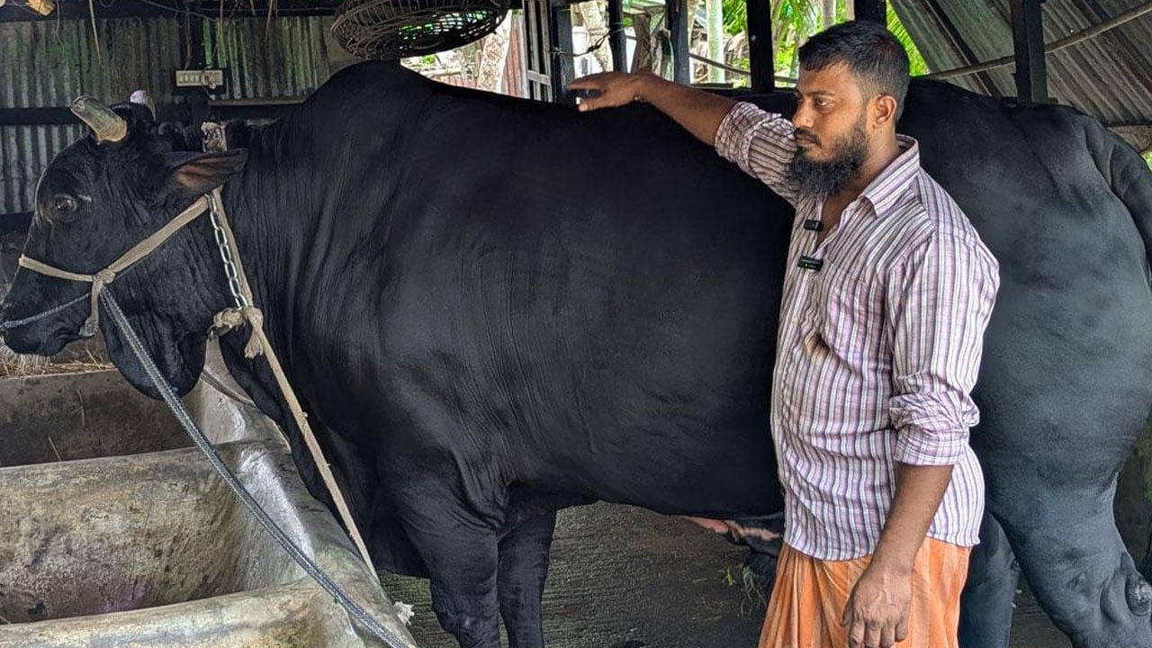 খালেদা জিয়াকে ‘কালো মানিক’ উপহার দেওয়া সেই সোহাগ মৃধা গ্রেপ্তার