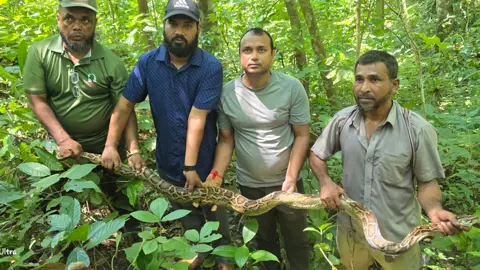 ৯ ফুট অজগরের ঠাঁই কাপ্তাই জাতীয় উদ্যানে