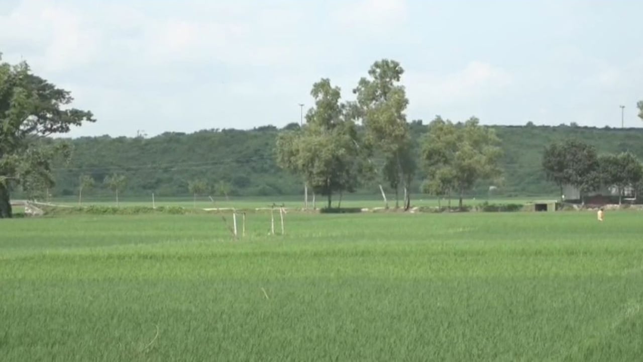 কসবা সীমান্তে বিএসএফের গুলিতে দুই বাংলাদেশি নিহত