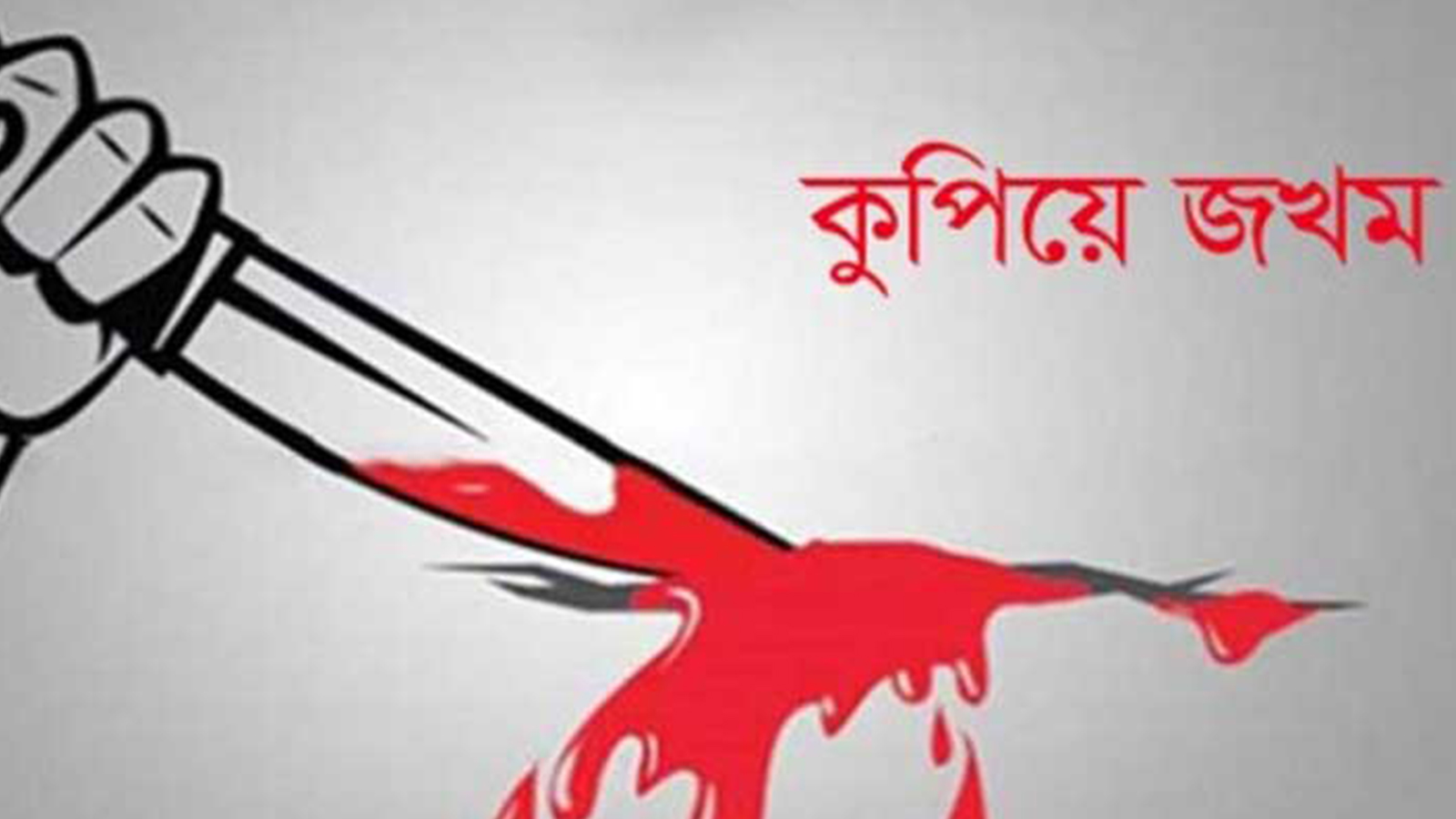 কাঁঠালিয়ায় হত্যাচেষ্টা মামলার সাক্ষীকে কুপিয়ে জখম