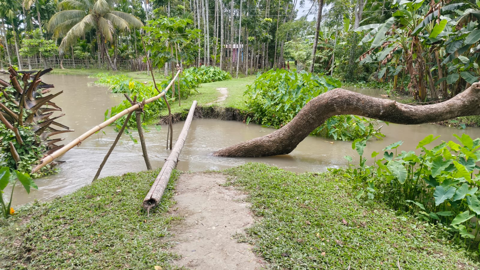কাউখালীতে রাস্তার ওপর সাঁকো, পাঁচ গ্রামের মানুষের চলাচলে দুর্ভোগ