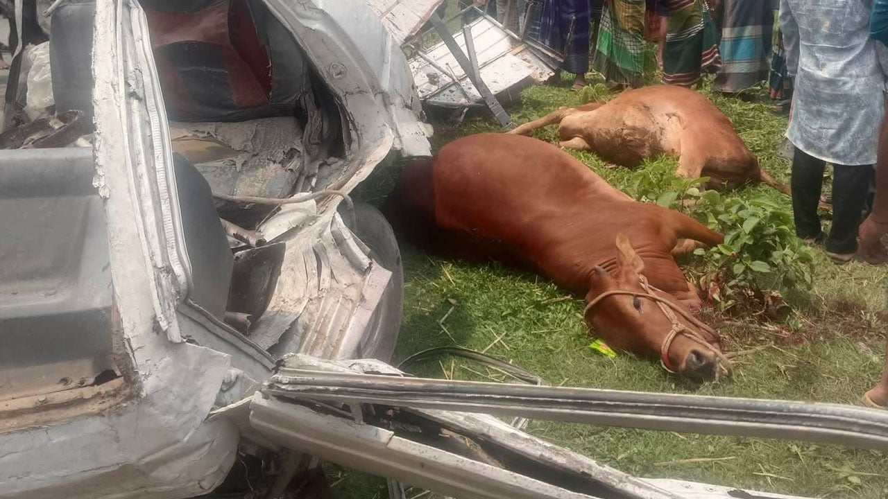 কোরবানির গরুবাহী পিকআপ উল্টে চালক নিহত, আহত ৩